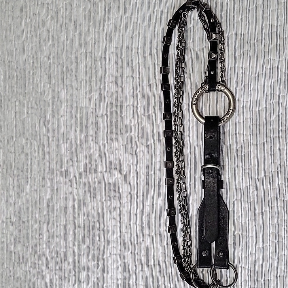 Harley-Davidson Willie G Hip Belt - Picture 5 of 12